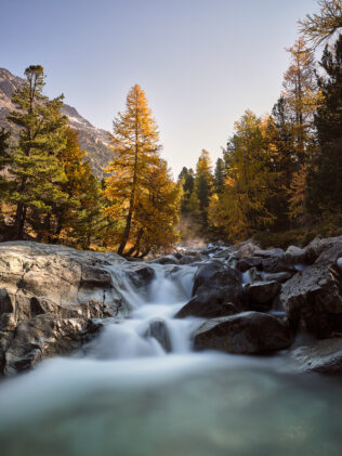 Autumn in the Swiss Alps of Engadin, featuring a waterfall, golden larch trees and the mountains close to sunset. Autumn in Engadin - Copyright 2022 Johan Peijnenburg - NiO Photography