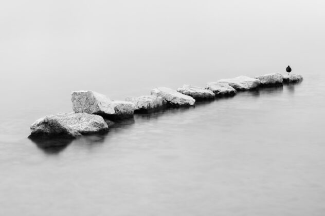 A minimalist lake landscape in black & white, featuring a line of rocks with a coot sleeping on one leg. On the Rocks - Copyright 2020 Johan Peijnenburg - NiO Photography