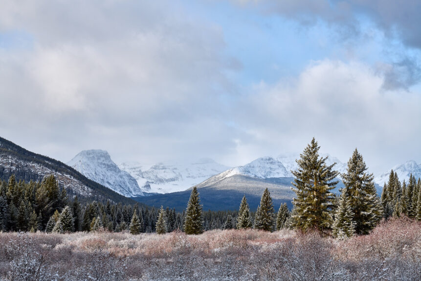 A winter landscape in the Canadian Rockies near Banff, with fresh snow in the Bow Valley and on the Rocky Mountains in the back. Immaculate - Copyright 2017 Johan Peijnenburg - NiO Photography