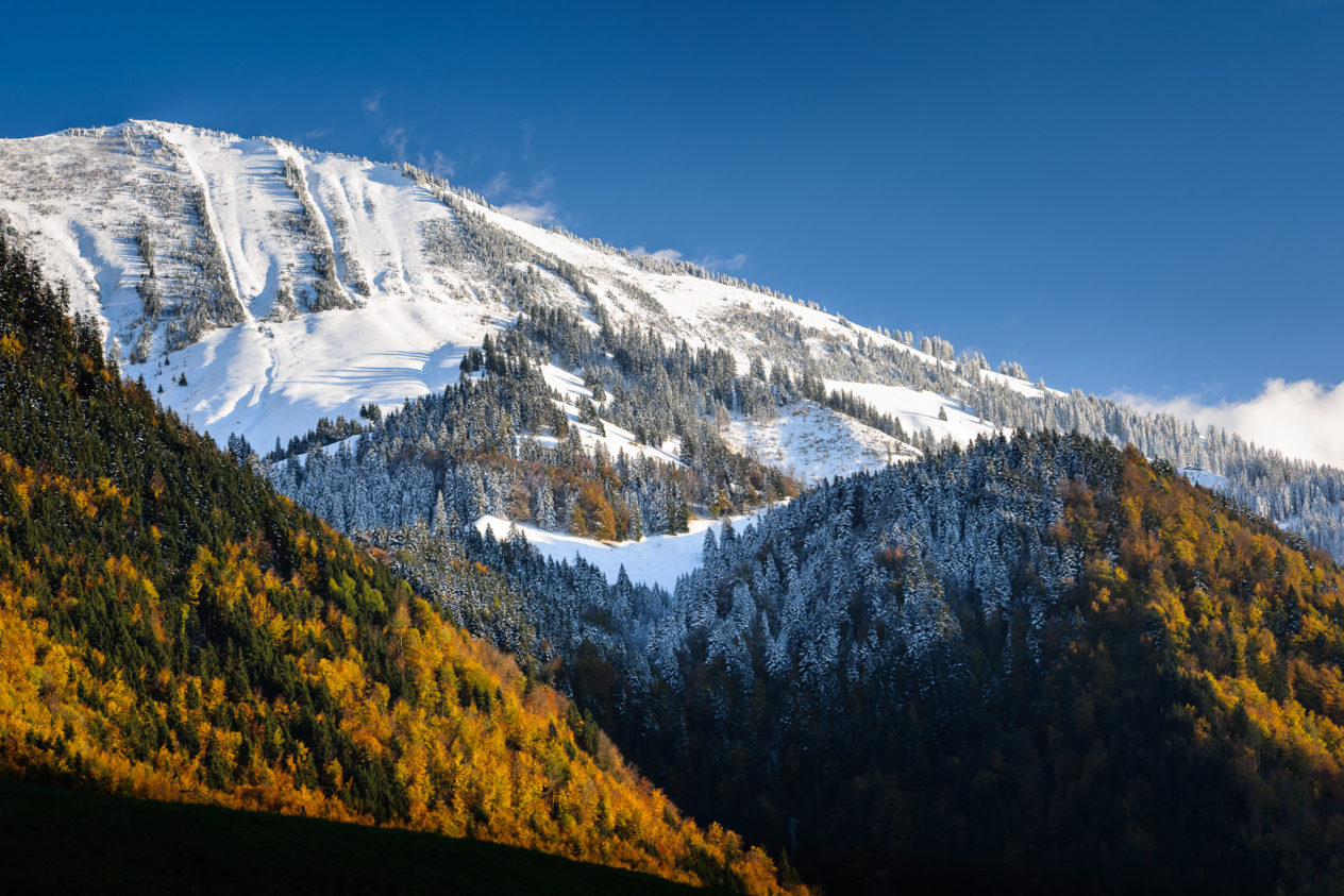 First snow in the Swiss alps whilst the trees still have their autumn colours. Alpine autumn colours - Copyright Johan Peijnenburg - NiO Photography