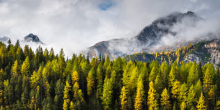 An autumnal mountain landscape, featuring larch trees with fall colours and rising fog with the Swiss Alps in the background. Golden Days - Copyright Johan Peijnenburg - NiO Photography