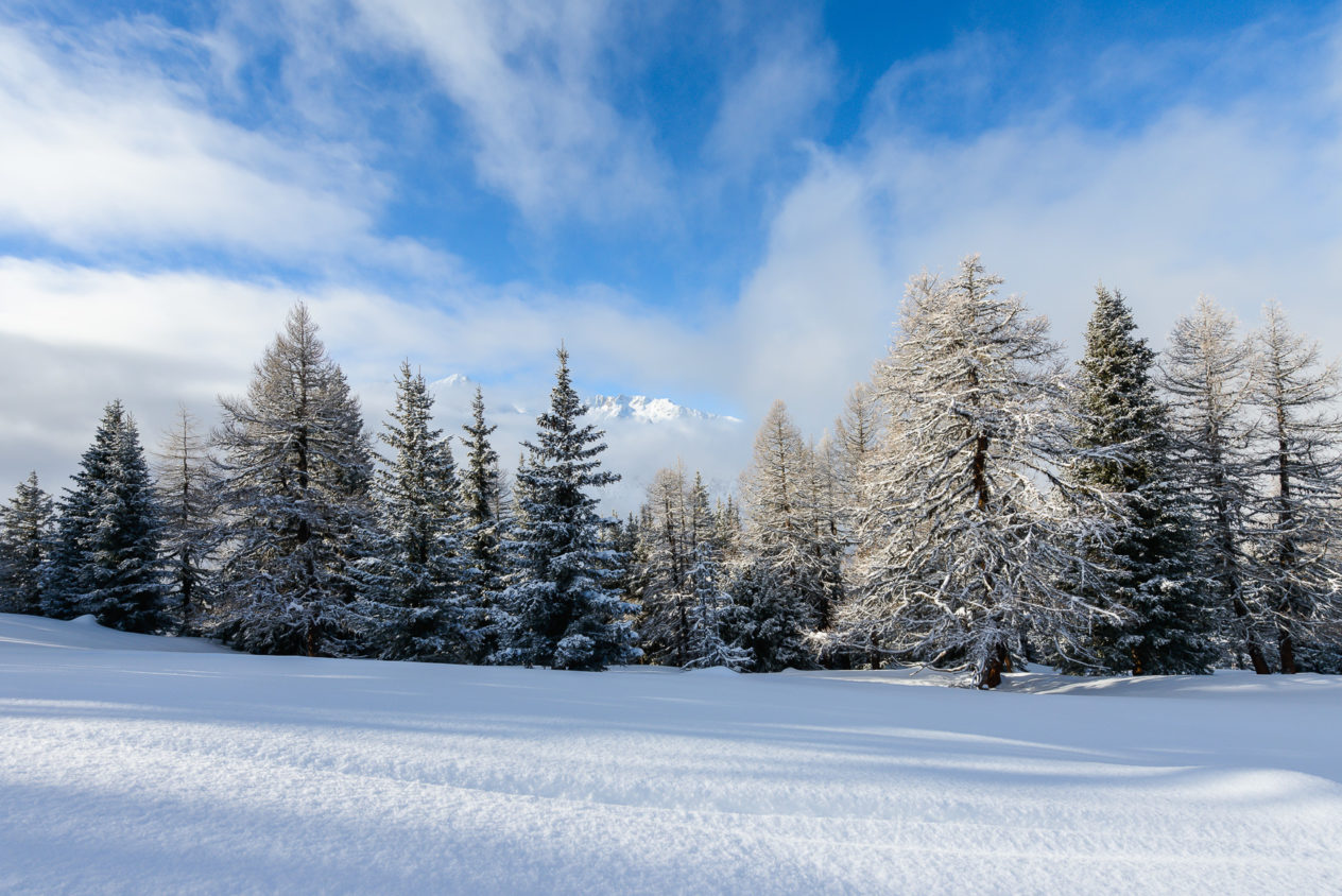 A landscape in colour, featuring a meadow and alpine forest in winter with a fresh coat of virgin snow. Mountain peaks rise above the fog. Unspoiled - Copyright Johan Peijnenburg - NiO Photography