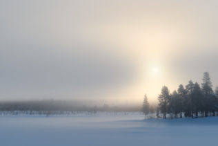 A misty Arctic winter landscape showing a Swedish boreal forest in Lapland, with snow, mist, and the warm glow of the setting sun. Arctic Mist - Copyright Johan Peijnenburg - NiO Photography