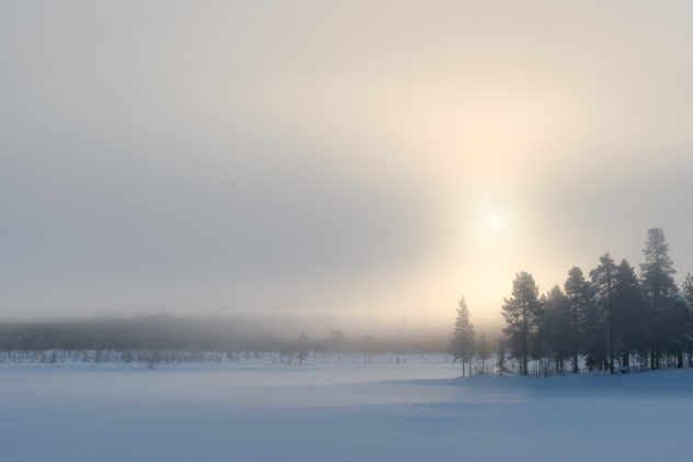 A misty Arctic winter landscape showing a Swedish boreal forest in Lapland, with snow, mist, and the warm glow of the setting sun. Arctic Mist - Copyright Johan Peijnenburg - NiO Photography