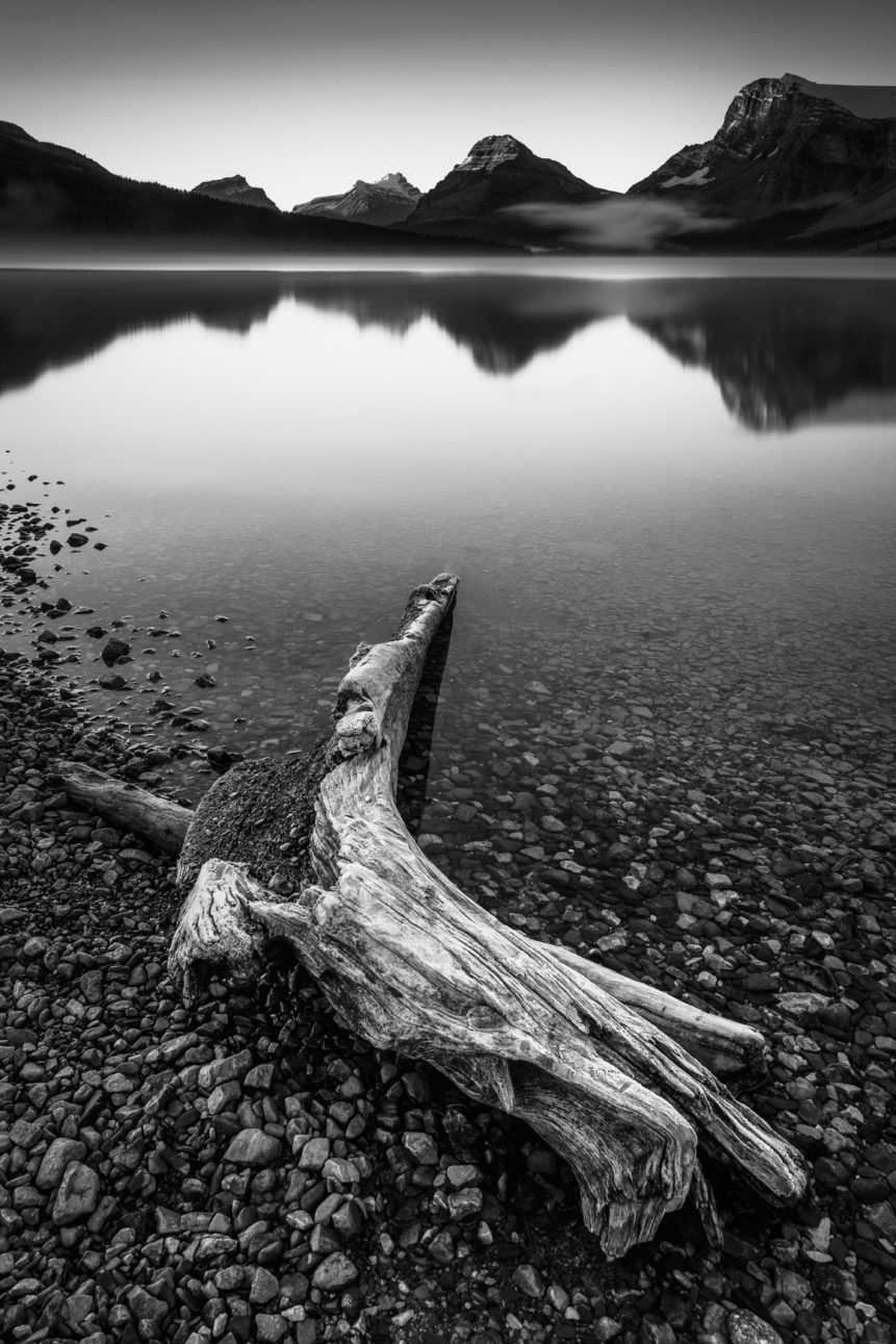 Sunrise at Bow Lake in Banff National Park, Canada, with a frosty tree trunk pointing towards the Canadian Rocky Mountains. Tranquil Dawn - Copyright Johan Peijnenburg - NiO Photography