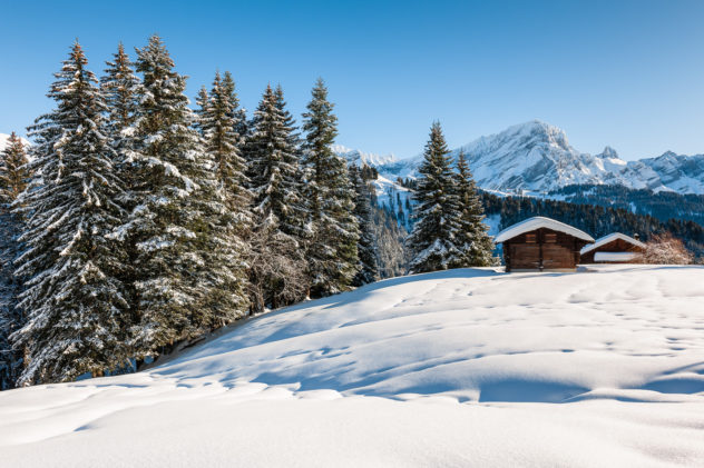 The Swss Alps in winter, featuring snow-dusted trees, a barn, a chalet and the Grand Muveran mountain. Winter Bliss - Copyright Johan Peijnenburg - NiO Photography