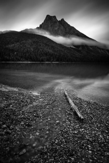 Emerald Lake and the Candian Rocky Mountains in Yoho National Park, with a tree trunk pointing to Mount Burgess. Divine - Copyright Johan Peijnenburg - NiO Photography