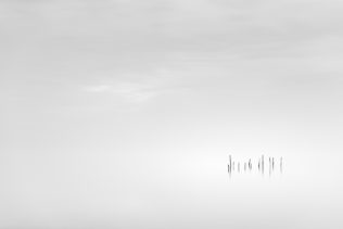 A coastal landscape in B&W, showing the North Sea coast of Zeeland in The Netherlands with fishing net sticks. Daydreaming - Copyright Johan Peijnenburg - NiO Photography