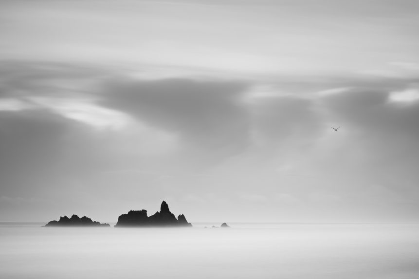 A fine art photo in B&W, showing a misty coastal landscape at dawn with a bird leaving the sea stacks at Kilfarrasy Beach near the Copper Coast in Waterford, Ireland. Misty Sunrise - Copyright Johan Peijnenburg - NiO Photography