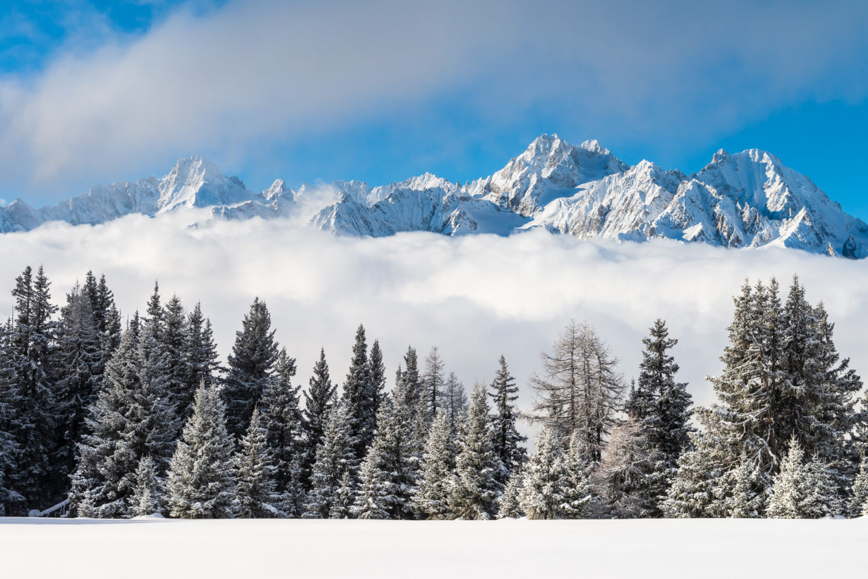 A mountain landscape in colour, with early morning light on the Mont Blanc Massif in winter rising above the clouds. In the foreground fresh snow and a line of trees with snow and hoarfrost. Majestically Rising - Copyright Johan Peijnenburg - NiO Photography