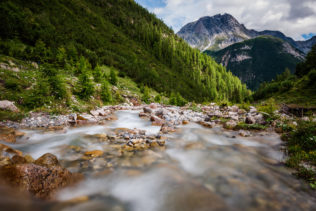 A mountain river flowing down a slope towards a forest and Piz Pisoc in the Swiss Alps, near Scuol in the Swiss National Park of Graubünden. River Wild - Copyright Johan Peijnenburg - NiO Photography