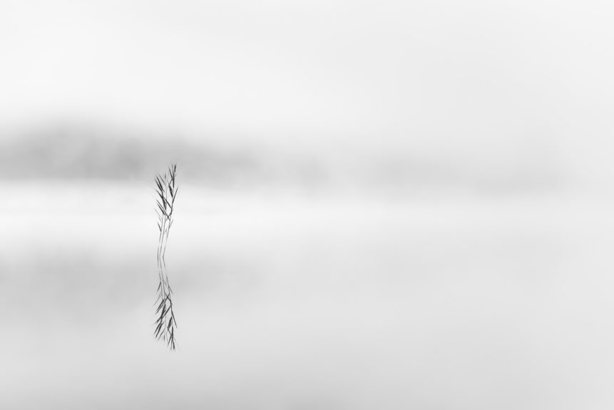 A minimalist lake landscape in black & white with reed and fog reflected in Lej da Staz (Stazersee), a small mountain lake close to St. Moritz in the Swiss Alps. Zen - Copyright Johan Peijnenburg - NiO Photography