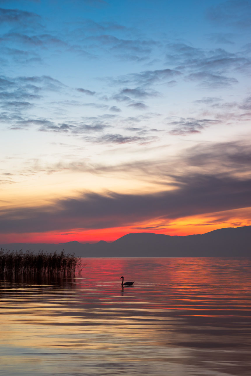 A colourful lakeside sunset at Lac de Neuchâtel in Switzerland, with a swan, reed and the silhouetted mountains of the Swiss Jura in the back of the lake. Stillness in Colour - Copyright Johan Peijnenburg - NiO Photography