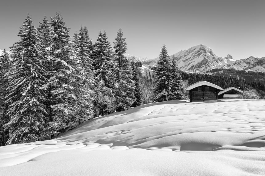 A mountain landscape in B&W, showing the beauty of winter in the Swiss Alps, with a dusting of snow on the trees and the mountains. Let it Snow - Copyright Johan Peijnenburg - NiO Photography