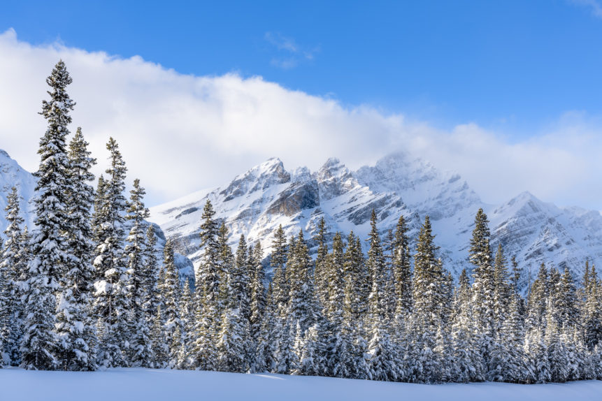 A Canadian winter landscape near Bow Summit in Banff National Park, showing trees with a fresh touch of snow and soft light warming the Rocky Mountains. Pristine - Copyright Johan Peijnenburg - NiO Photography