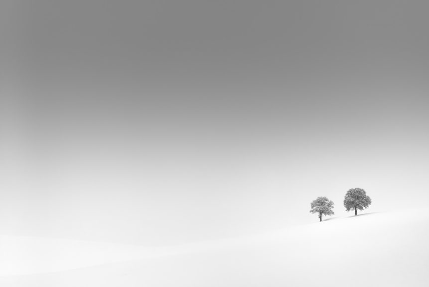 A serene and snowy winter landscape in B&W, featuring two solitary trees dusted with fresh snow against a misty background. Together Alone - Copyright Johan Peijnenburg - NiO Photography