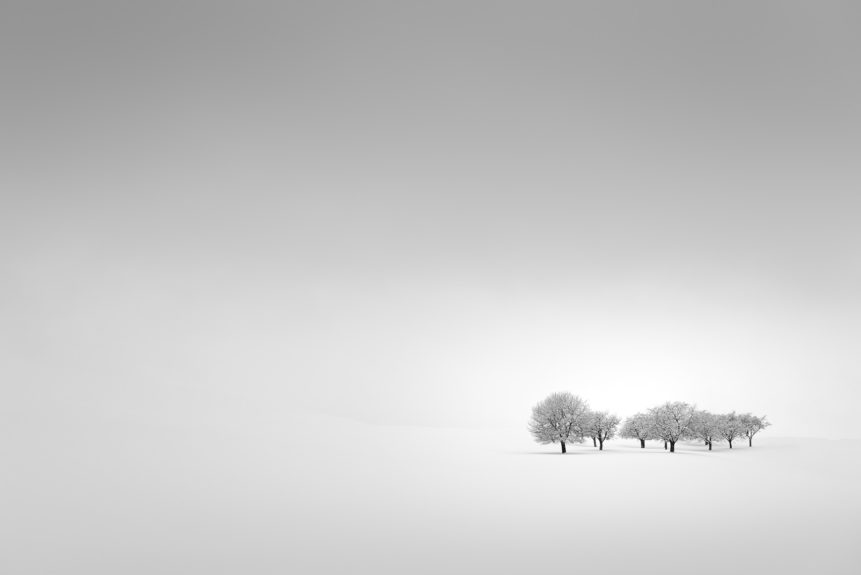 Minimalist fine art in black & white with fog and snow, featuring a group of fruit trees in a misty countryside winter landscape. Winter Tranquillity - Copyright Johan Peijnenburg - NiO Photography